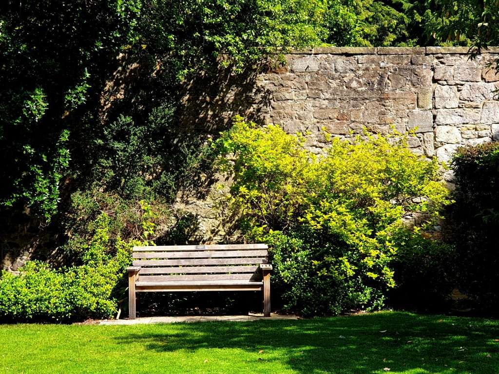 A peaceful wooden bench nestled against a historic stone wall, surrounded by lush greenery and dappled sunlight in a secluded garden setting.