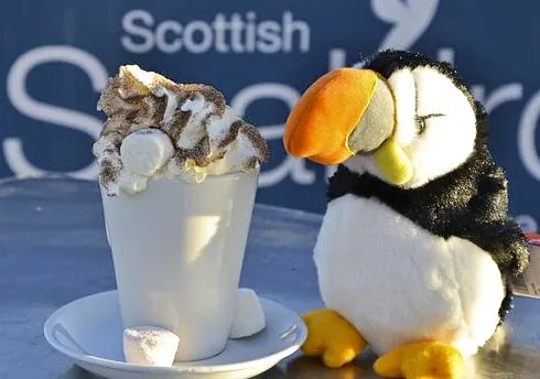 Cup of hot chocolate topped with marshmallows, beside a plush puffin toy with "Scottish Seabird Centre" background.
