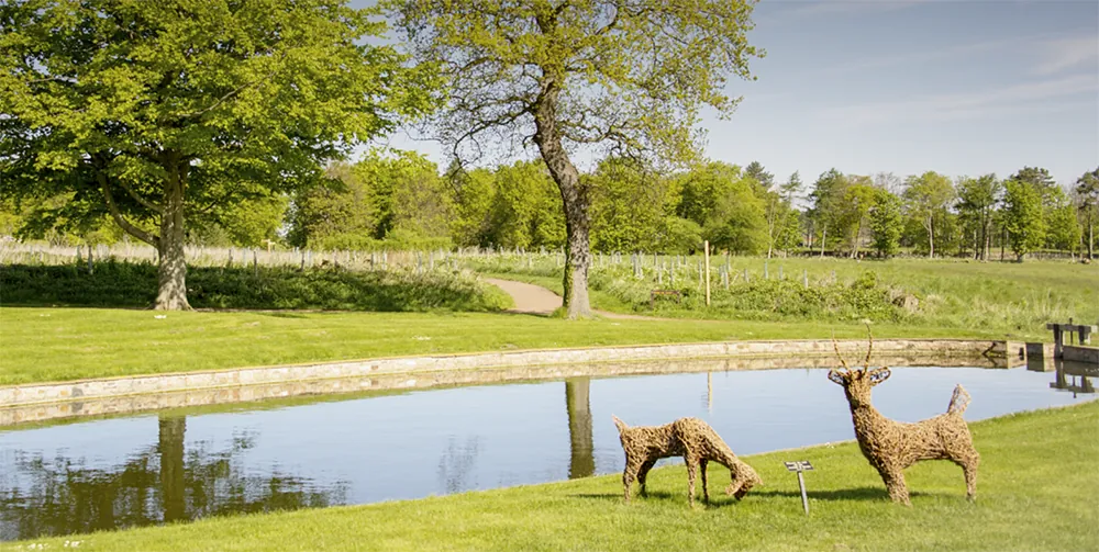 Wicker deer sculptures by a reflective pond in a green parkland setting